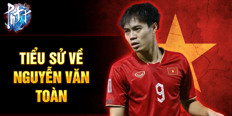 Tiểu sử về Nguyễn Văn Toàn