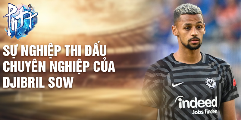 Sự nghiệp thi đấu chuyên nghiệp của Djibril Sow